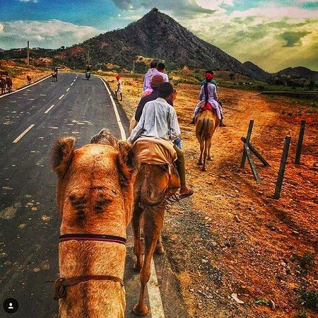 camel-safari-pushkar.jpg